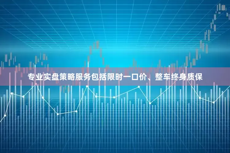 专业实盘策略服务包括限时一口价、整车终身质保